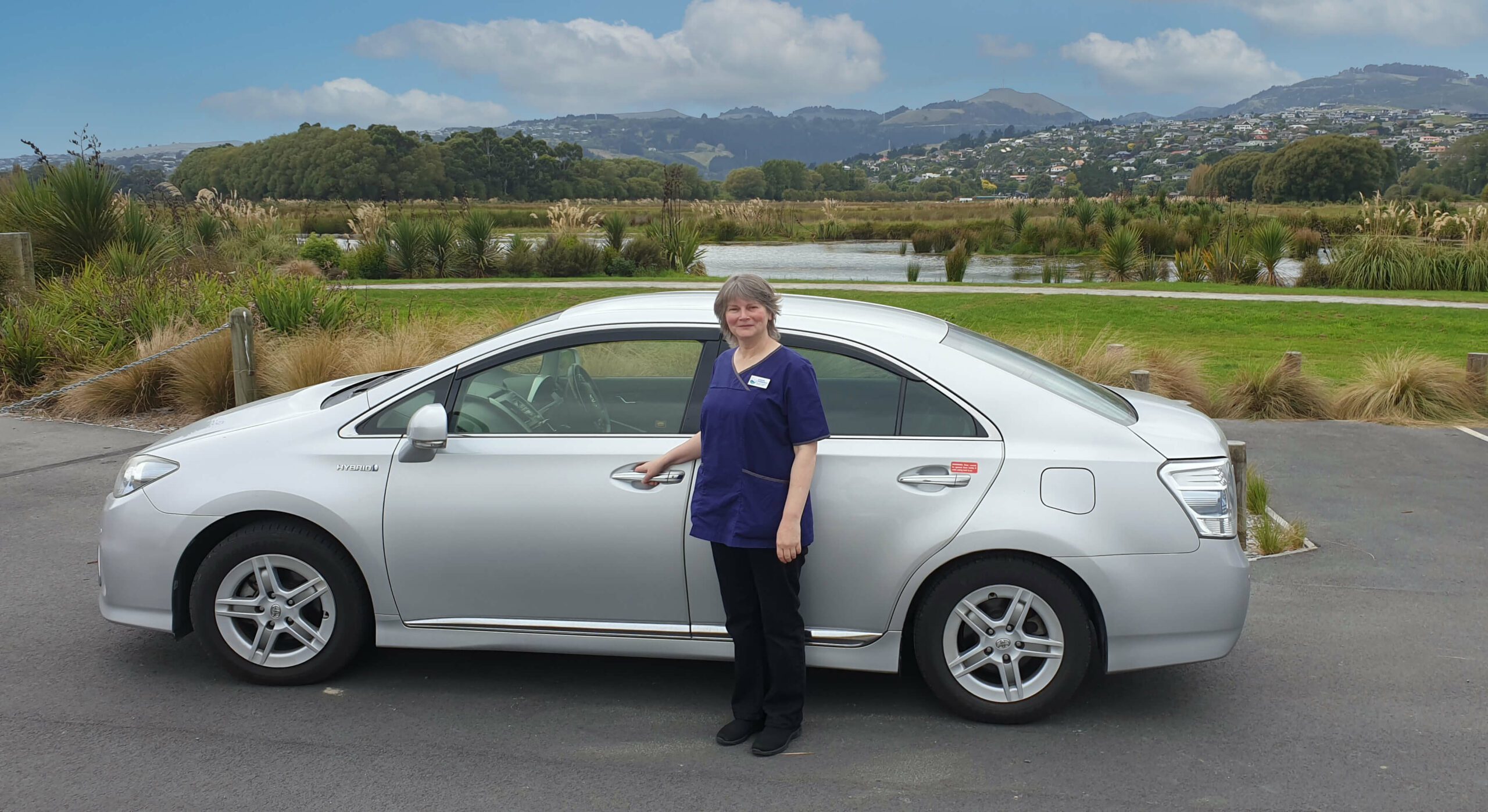 Silver Sedan in front of wetlands